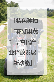 特色种植“花繁果茂”，富民产业释放发展新动能