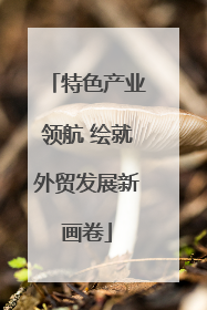 特色产业领航 绘就外贸发展新画卷