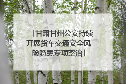 甘肃甘州公安持续开展货车交通安全风险隐患专项整治