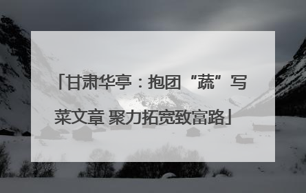 甘肃华亭：抱团“蔬”写菜文章 聚力拓宽致富路