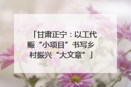 甘肃正宁：以工代赈“小项目”书写乡村振兴“大文章”
