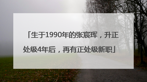 生于1990年的张宸珲，升正处级4年后，再有正处级新职