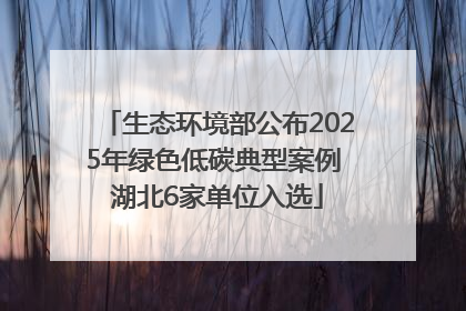 生态环境部公布2025年绿色低碳典型案例 湖北6家单位入选