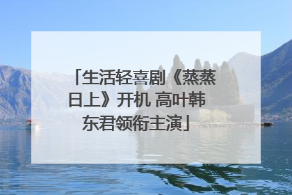 生活轻喜剧《蒸蒸日上》开机 高叶韩东君领衔主演
