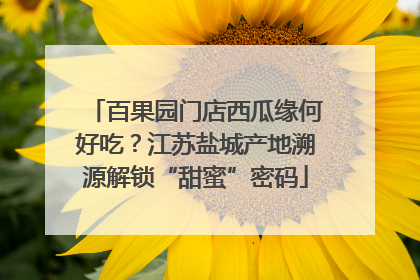 百果园门店西瓜缘何好吃？江苏盐城产地溯源解锁“甜蜜”密码