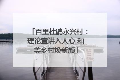 百里杜鹃永兴村：理论宣讲入人心 和美乡村焕新颜