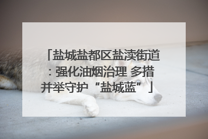 盐城盐都区盐渎街道：强化油烟治理 多措并举守护“盐城蓝”