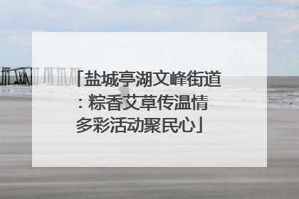 盐城亭湖文峰街道：粽香艾草传温情 多彩活动聚民心