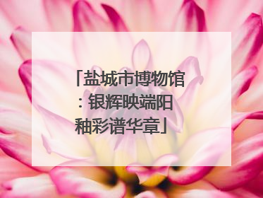 盐城市博物馆：银辉映端阳 釉彩谱华章