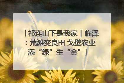 祁连山下是我家｜临泽：荒滩变良田 戈壁农业添“绿”生“金”