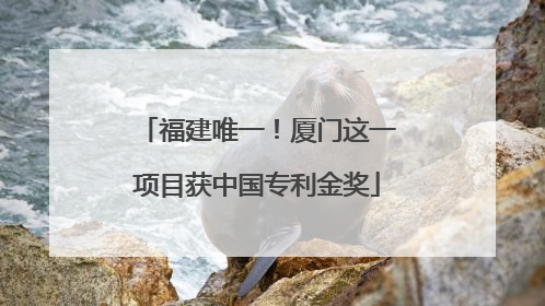 福建唯一！厦门这一项目获中国专利金奖