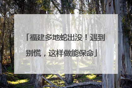 福建多地蛇出没！遇到别慌，这样做能保命