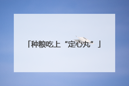 种粮吃上“定心丸”