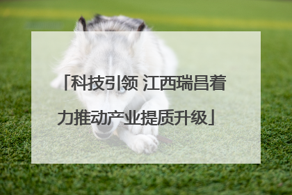科技引领 江西瑞昌着力推动产业提质升级