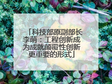 科技部原副部长李萌：工程创新成为成就颠覆性创新更重要的形式