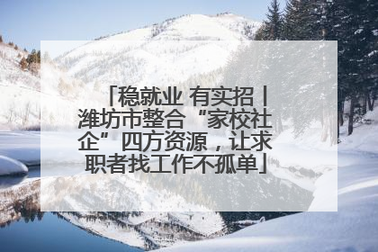 稳就业 有实招丨潍坊市整合“家校社企”四方资源，让求职者找工作不孤单