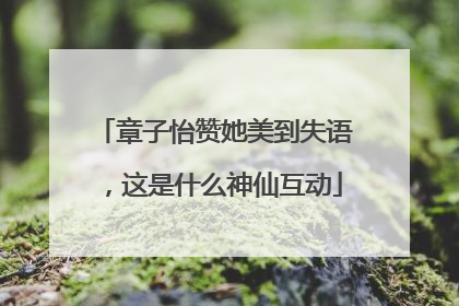 章子怡赞她美到失语，这是什么神仙互动