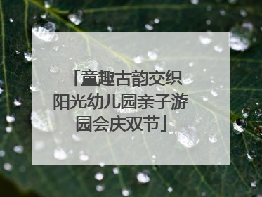 童趣古韵交织 阳光幼儿园亲子游园会庆双节
