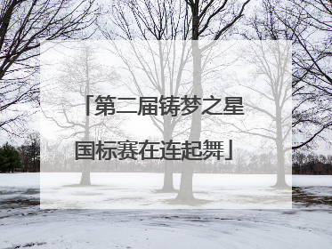 第二届铸梦之星国标赛在连起舞