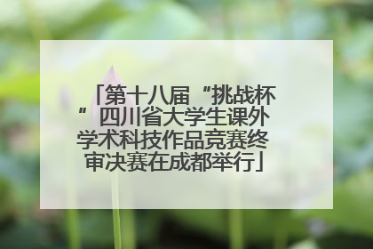 第十八届“挑战杯”四川省大学生课外学术科技作品竞赛终审决赛在成都举行
