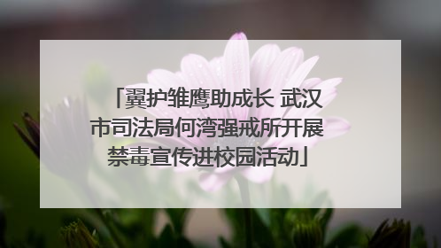 翼护雏鹰助成长 武汉市司法局何湾强戒所开展禁毒宣传进校园活动