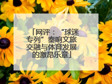 网评：“球迷专列”奏响文旅交融与体育发展的激昂乐章