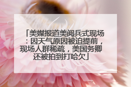 美媒报道美阅兵式现场：因天气原因被迫提前，现场人群稀疏，美国务卿还被拍到打哈欠