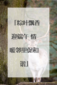 粽叶飘香迎端午 情暖邻里促和谐