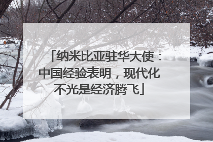 纳米比亚驻华大使：中国经验表明，现代化不光是经济腾飞