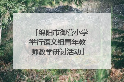 绵阳市御营小学举行语文组青年教师教学研讨活动