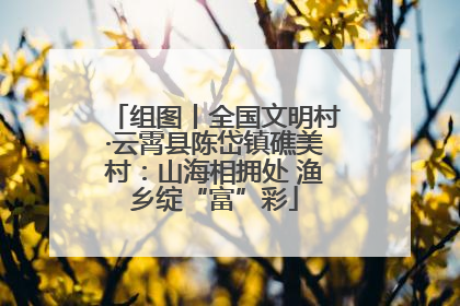 组图丨全国文明村·云霄县陈岱镇礁美村：山海相拥处 渔乡绽“富”彩