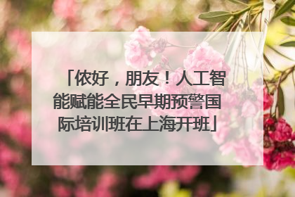 侬好，朋友！人工智能赋能全民早期预警国际培训班在上海开班