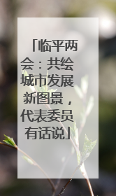临平两会：共绘城市发展新图景，代表委员有话说