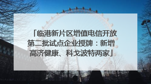 临港新片区增值电信开放第二批试点企业授牌：新增高济健康、科戈波特两家