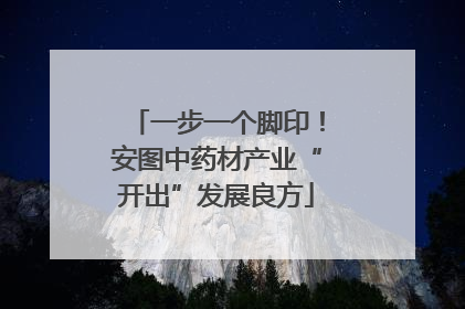 一步一个脚印！安图中药材产业“开出”发展良方