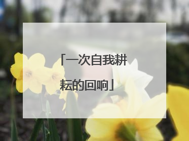 一次自我耕耘的回响