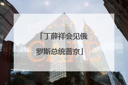 丁薛祥会见俄罗斯总统普京