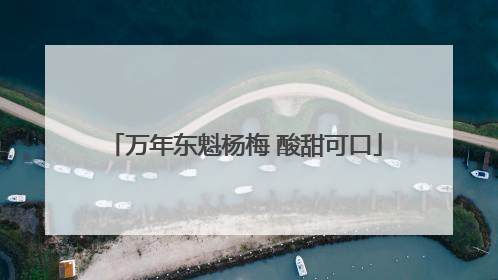 万年东魁杨梅 酸甜可口