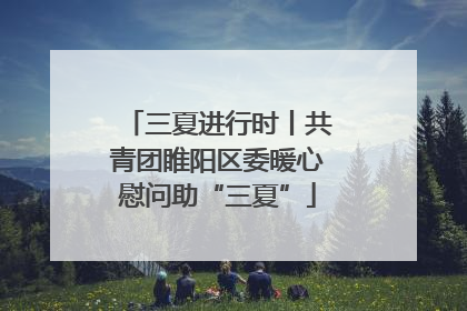 三夏进行时丨共青团睢阳区委暖心慰问助“三夏”