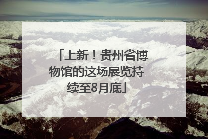 上新！贵州省博物馆的这场展览持续至8月底