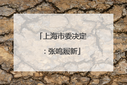 上海市委决定：张鸣履新