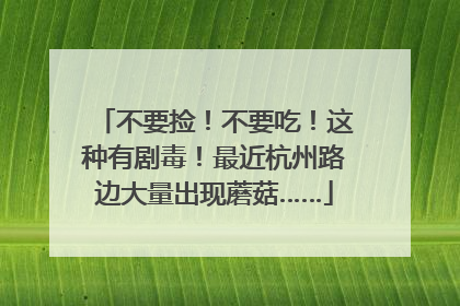 不要捡！不要吃！这种有剧毒！最近杭州路边大量出现蘑菇……