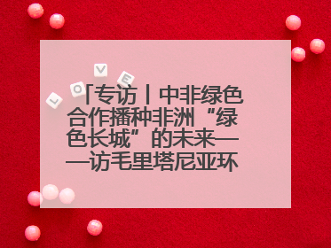 专访丨中非绿色合作播种非洲“绿色长城”的未来——访毛里塔尼亚环境部长拉格达夫
