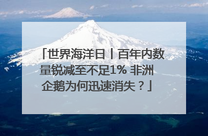 世界海洋日丨百年内数量锐减至不足1% 非洲企鹅为何迅速消失？