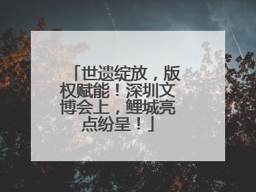 世遗绽放，版权赋能！深圳文博会上，鲤城亮点纷呈！