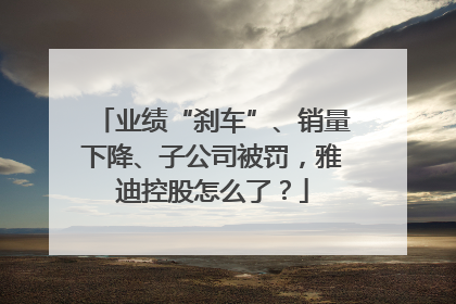 业绩“刹车”、销量下降、子公司被罚，雅迪控股怎么了？