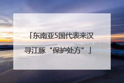 东南亚5国代表来汉寻江豚“保护处方”