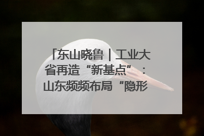 东山晓鲁｜工业大省再造“新基点”：山东频频布局“隐形冠军”背后