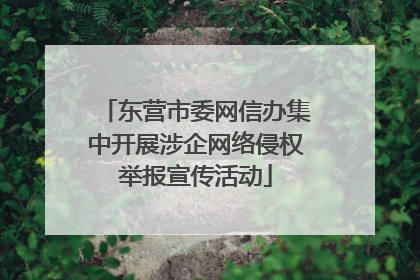 东营市委网信办集中开展涉企网络侵权举报宣传活动