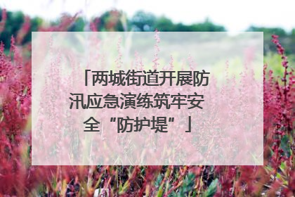 两城街道开展防汛应急演练筑牢安全“防护堤”